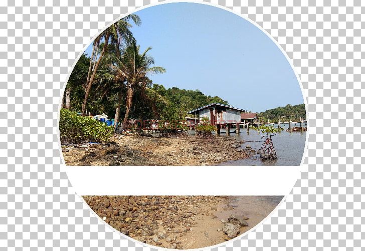 Shore Water Resources Land Lot Vacation Tourism PNG, Clipart, Beach, Land Lot, Real Property, Shore, Tourism Free PNG Download