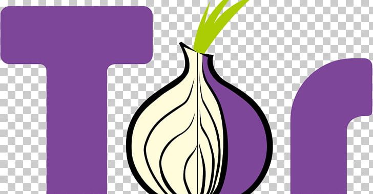 Tor Computer Network Anonymity Onion Routing IP Address PNG, Clipart, Anonymizer, Anonymous Web Browsing, Brand, Computer Network, Computer Software Free PNG Download