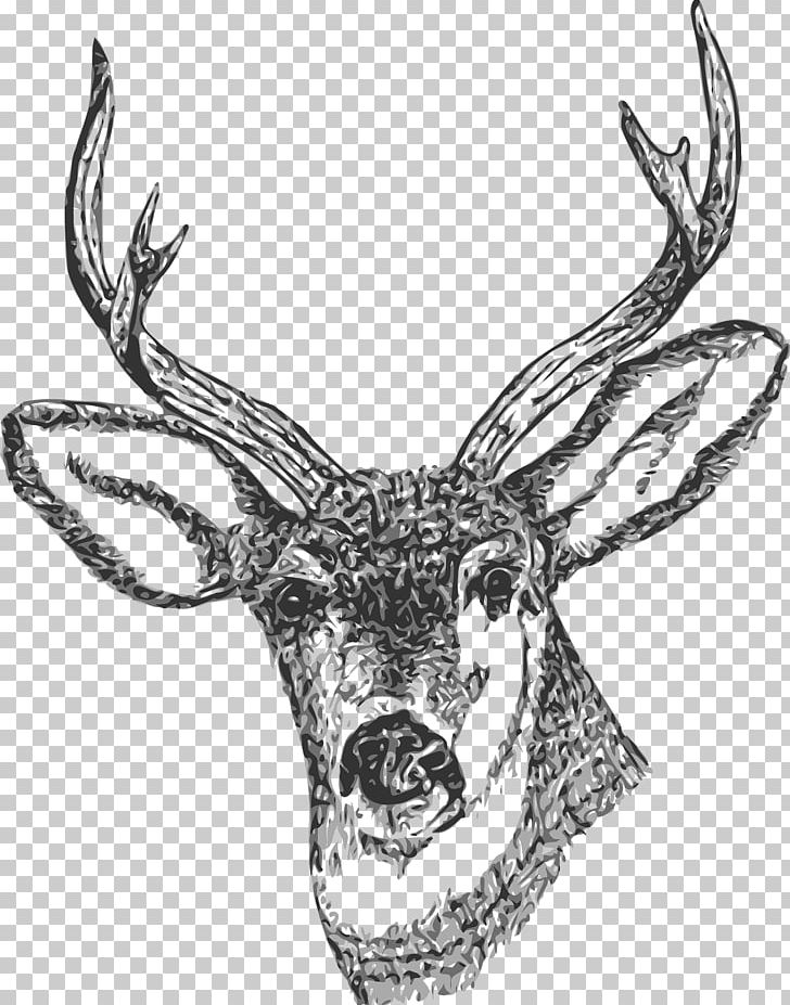 White-tailed Deer Reindeer Red Deer PNG, Clipart, Animals, Antler, Art, Black And White, Computer Icons Free PNG Download