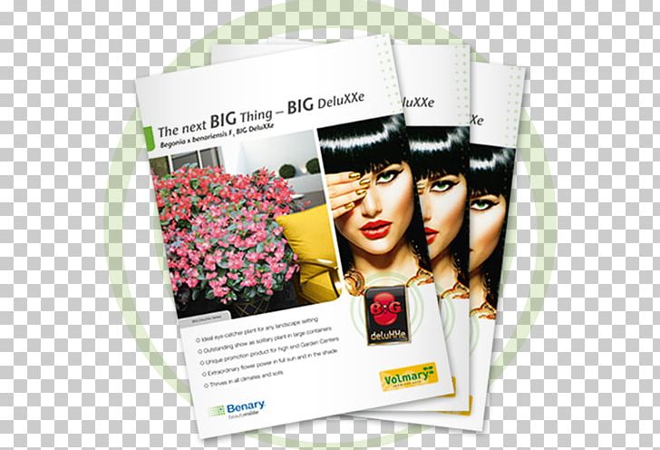 Advertising Flyer Catalog Brochure PNG, Clipart, Advertising, Bed Head, Begonia, Brochure, Catalog Free PNG Download