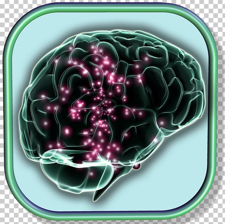 Electrical Brain Stimulation Neuroscience Memory Electrical Brain Stimulation PNG, Clipart, Addiction, Brain, Brain Mapping, Cell, Cerebral Cortex Free PNG Download