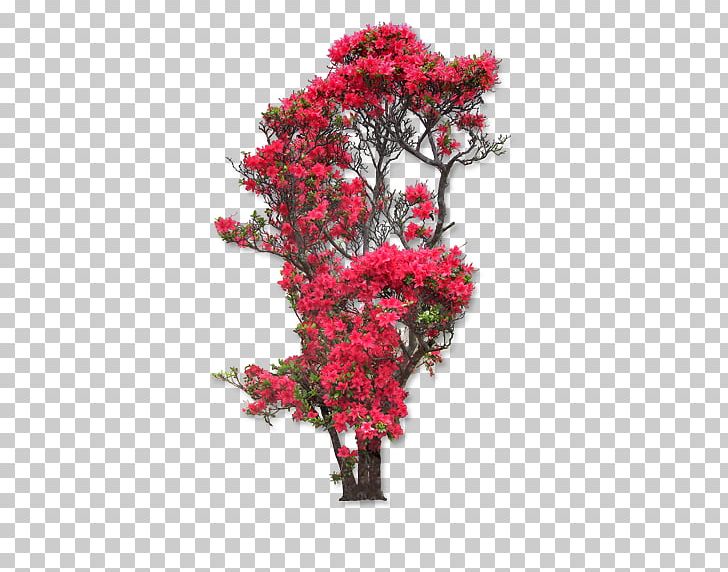 Flower Rose PNG, Clipart, Branch, Decorative Patterns, Desktop Wallpaper, Download, Flo Free PNG Download