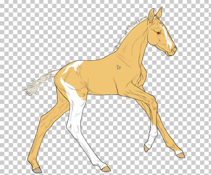 Foal Mustang Colt Stallion Mare PNG, Clipart, Animal Figure, Bridle, Colt, Cornu, Foal Free PNG Download