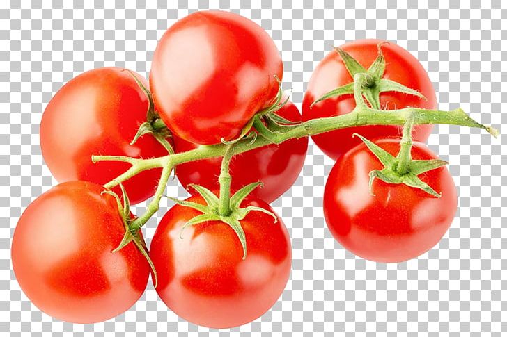 Tomato Juice Cherry Tomato Vegetable Fruit PNG, Clipart, Bush Tomato, Canned Tomato, Cherry, Diet Food, Flower Vine Free PNG Download