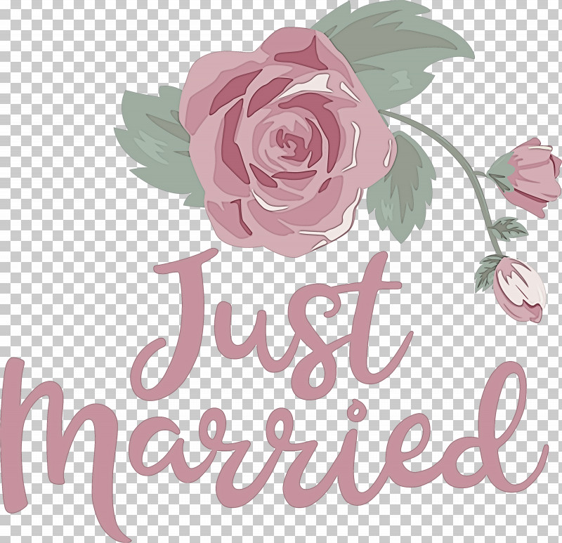 Just Married Wedding PNG, Clipart, Cabbage Rose, Cut Flowers, Floral Design, Flower, Garden Free PNG Download