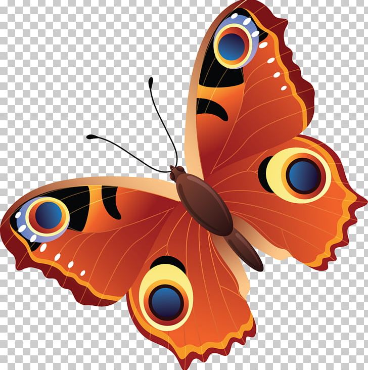 Drawing Butterfly Photography Visual Arts PNG, Clipart, Art, Arthropod, Brush Footed Butterfly, Butterflies And Moths, Butterfly Free PNG Download