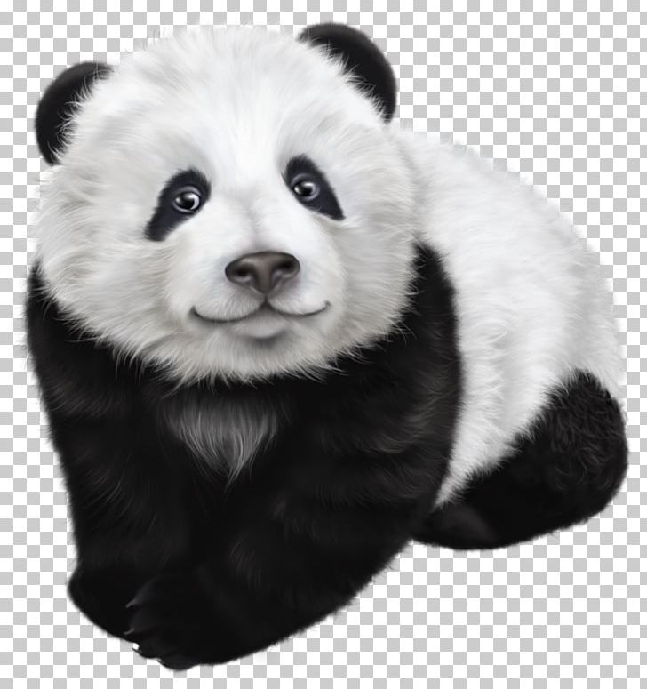 Giant Panda Drawing Illustration PNG, Clipart, Animal, Animals, Bear, Black And White, Clipart Free PNG Download