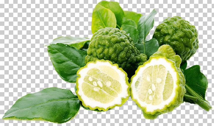 Kaffir Lime Key Lime Thai Cuisine Lemon PNG, Clipart, Brussels Sprout, Citrus, Cruciferous Vegetables, Curry Tree, Diet Food Free PNG Download