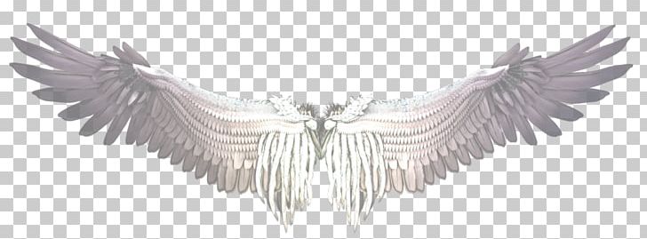 Buffalo Wing Castiel Bird PNG, Clipart, Angel, Angel Wing, Angel Wings, Animals, Beak Free PNG Download