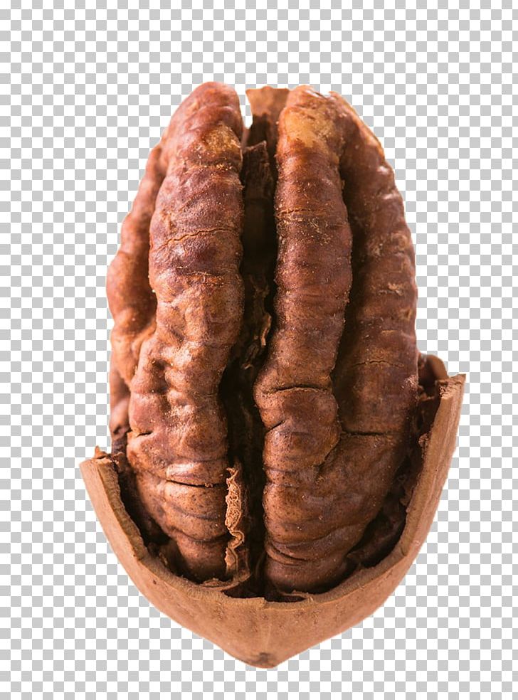 Knackwurst Pecan Mettwurst Kaszanka Boudin PNG, Clipart, Animal Source Foods, Butter, Butter Cookies, Butter Fly, Chorizo Free PNG Download