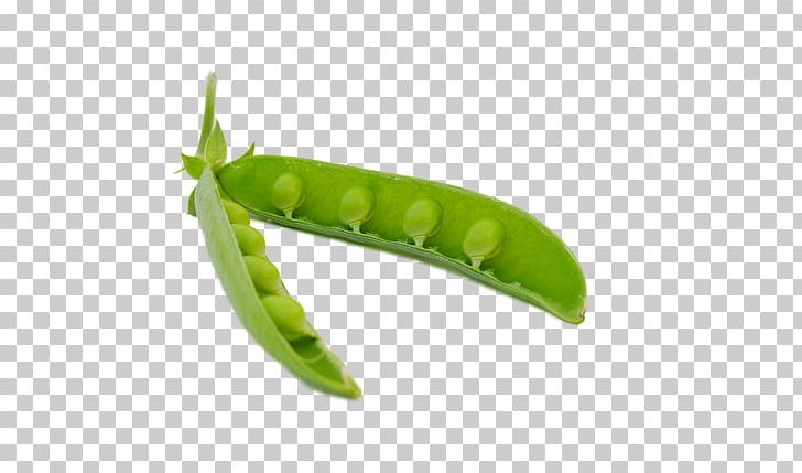Snow Pea Icon PNG, Clipart, Butterfly Pea, Butterfly Pea Flower, Cartoon Peas, Caterpillar, Computer Icons Free PNG Download