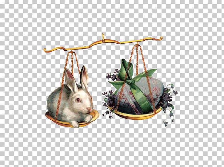 Easter Bunny Leporids Rabbit Easter Egg PNG, Clipart, Animals, Bunnies, Bunny, Color, Cute Animal Free PNG Download