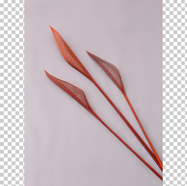 Feather PNG, Clipart, Animals, Feather, Red Spider Lily, Wing Free PNG Download