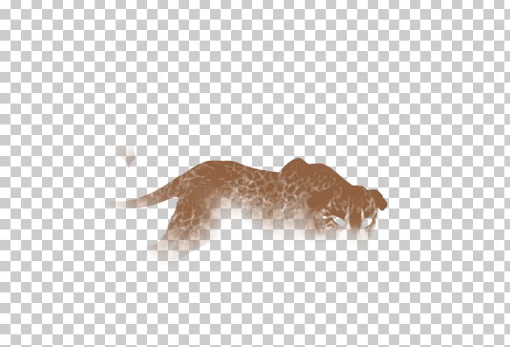 Cat Dog Carnivora Animal Canidae PNG, Clipart, Animal, Animals, Canidae, Carnivora, Carnivoran Free PNG Download