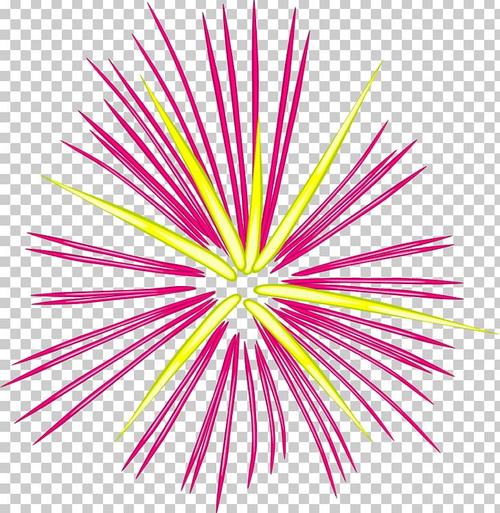 Fireworks PNG, Clipart, Circ, Computer Icons, Design, Download, Electric Spark Free PNG Download