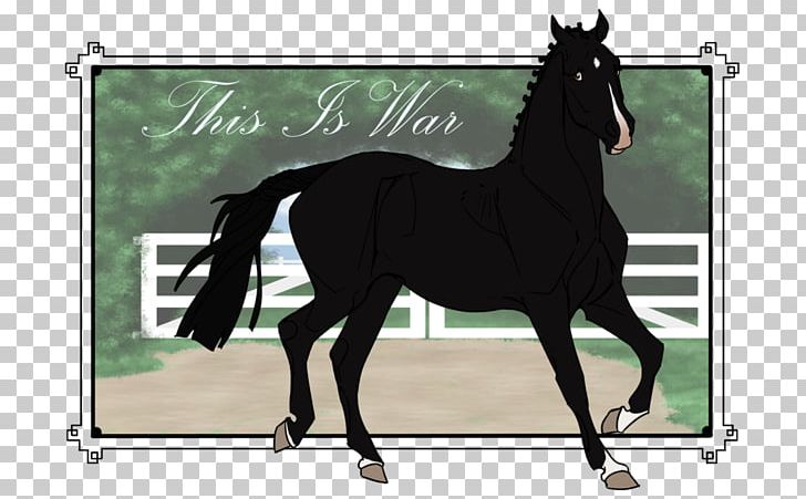 Stallion Rein Mustang Foal Mare PNG, Clipart, Bit, Black Canyon Estates, Bridle, Colt, English Riding Free PNG Download