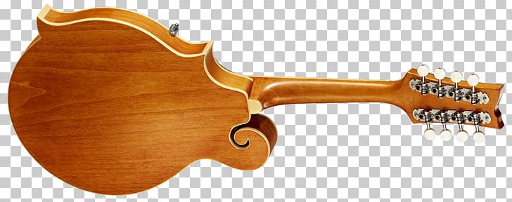 Ukulele Fingerboard Guitar Musical Instruments Neck PNG, Clipart, Acoustic Electric Guitar, Acoustic Guitar, Bridge, Classical Guitar, Daddario Free PNG Download