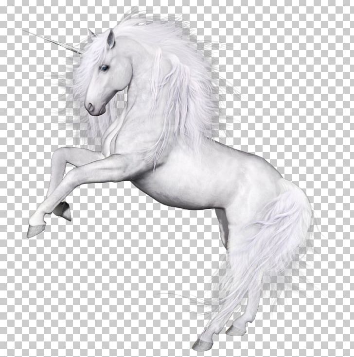Unicorn Horse Encapsulated PostScript PNG, Clipart, Black And White, Clip Art, Download, Drawing, Encapsulated Postscript Free PNG Download