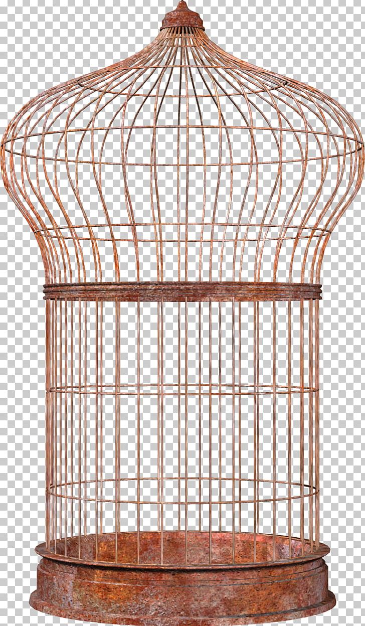 Bird Cell PNG, Clipart, Animals, Bird, Bird Cage, Cage, Cell Free PNG Download
