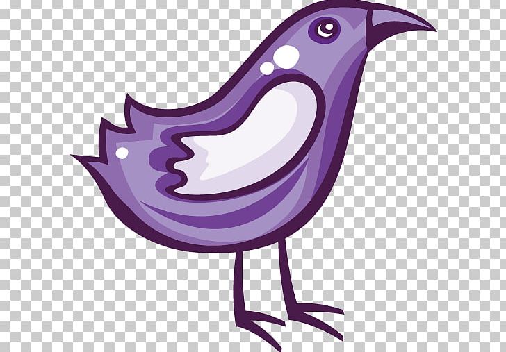 Bird Chicken Purple PNG, Clipart, Animals, Beak, Bird, Cartoon, Chick Free PNG Download