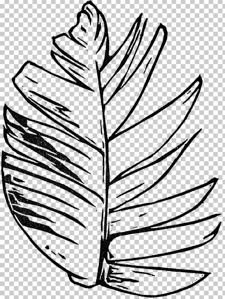 Leaf Flowering Plant Line Art PNG, Clipart, Artwork, Black And White, Flora, Flower, Flowering Plant Free PNG Download