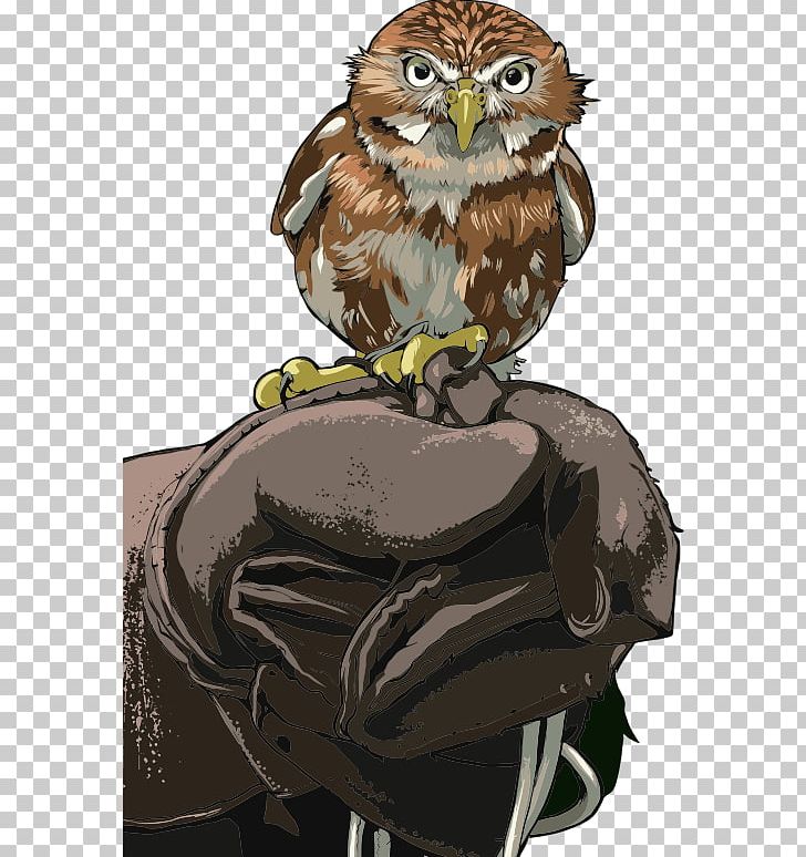 Owl Bird Graphics PNG, Clipart, Animals, Beak, Bird, Bird Of Prey, Cartoon Free PNG Download