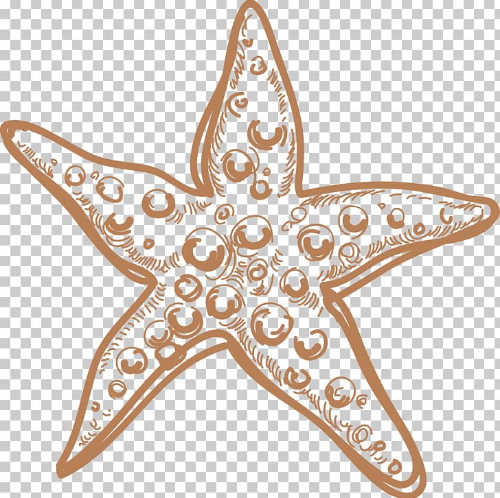 Starfish Marine Invertebrates PNG, Clipart, 3d Computer Graphics, Animals, Computer Graphics, Download, Drawing Free PNG Download