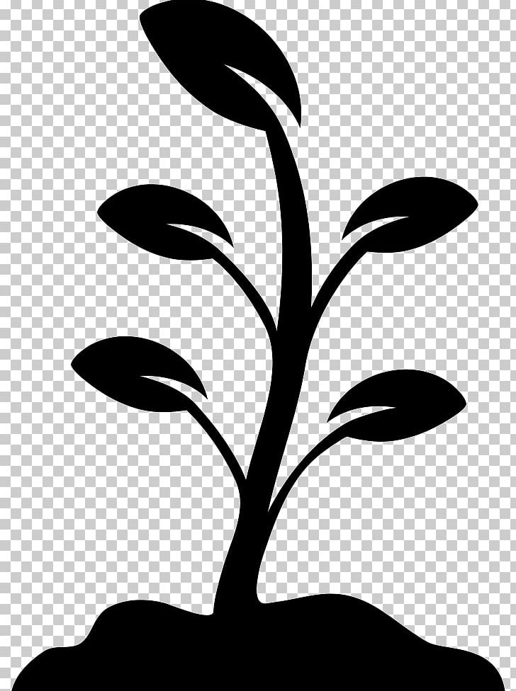 Tree Planting Eastern Black Walnut Plantation Sowing PNG, Clipart, Agriculture, Artwork, Black And White, Branch, Eastern Black Walnut Free PNG Download