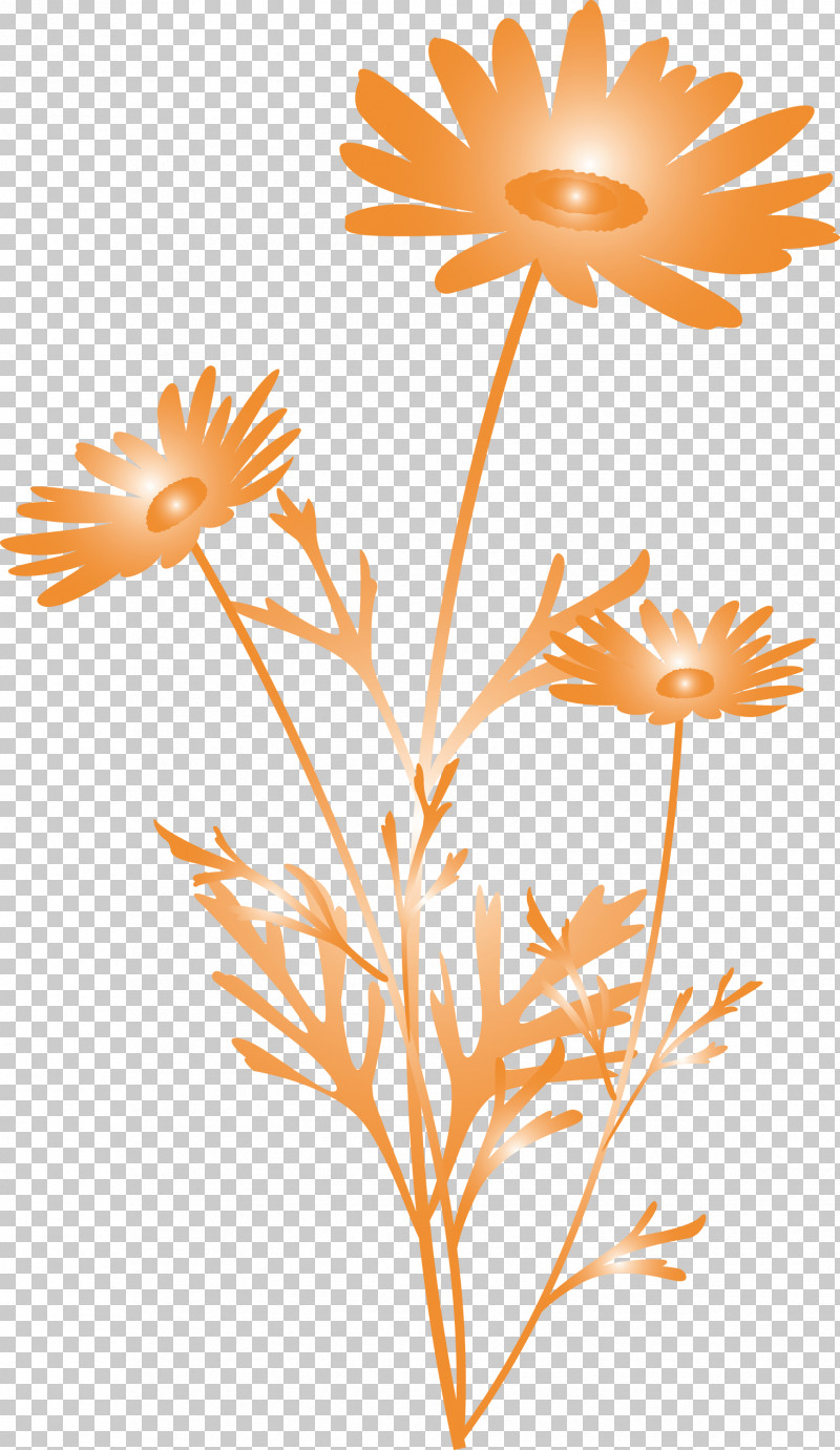 Marguerite Flower Spring Flower PNG, Clipart, Chamomile, Cut Flowers, English Marigold, Flower, Leaf Free PNG Download