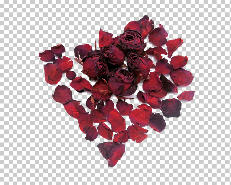 Garden Roses PNG, Clipart, Cut Flowers, Flower, Flower Bouquet, Garden Roses, Petal Free PNG Download