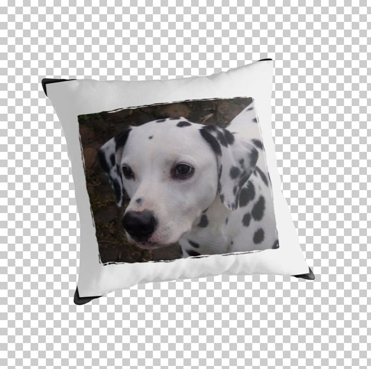 Dalmatian Dog Dog Breed Throw Pillows Cushion PNG, Clipart, Breed, Carnivoran, Cushion, Dalmatian, Dalmatian Dog Free PNG Download