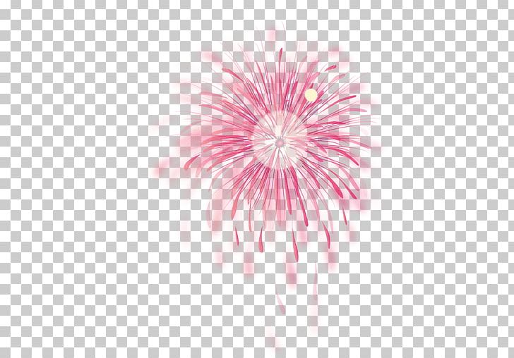 Pink Adobe Fireworks PNG, Clipart, Adobe Fireworks, Chrysanths, Closeup, Color, Computer Wallpaper Free PNG Download