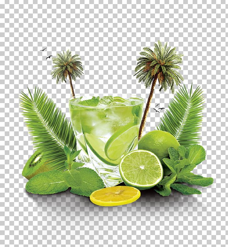 Mojito Cocktail Flyer PNG, Clipart, Adobe Illustrator, Broken Glass, Caipirinha, Champagne Glass, Cool Free PNG Download