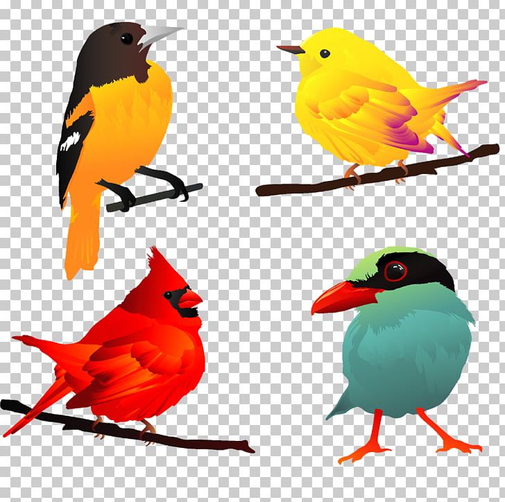 Bird European Robin PNG, Clipart, Animals, Beak, Big Bird, Bird, Bird Nest Free PNG Download