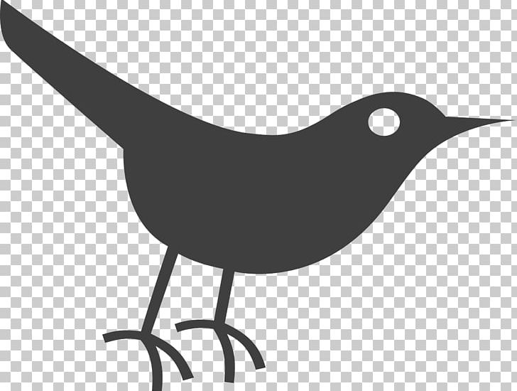 Bird Social Media Computer Icons PNG, Clipart, Animals, Beak, Bird, Black And White, Computer Icons Free PNG Download