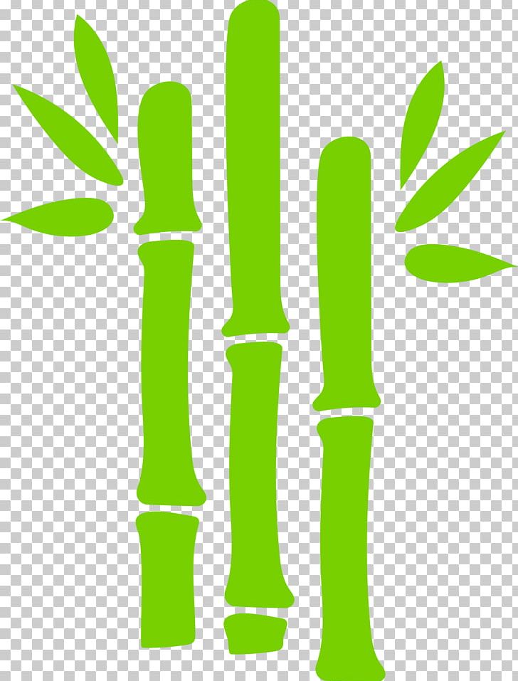 Green Bamboo Euclidean PNG, Clipart, Air, Bamboo, Beautiful, Breath, Computer Icons Free PNG Download