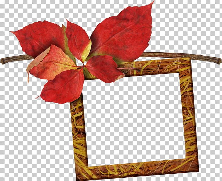 Leaf Frames PNG, Clipart, Border Frames, Cut Flowers, Drawing, Flora, Floral Design Free PNG Download