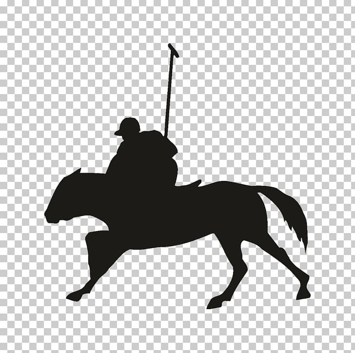 Polo Sport PNG, Clipart, Black, Black And White, Bridle, Bumper Sticker, Clothing Free PNG Download