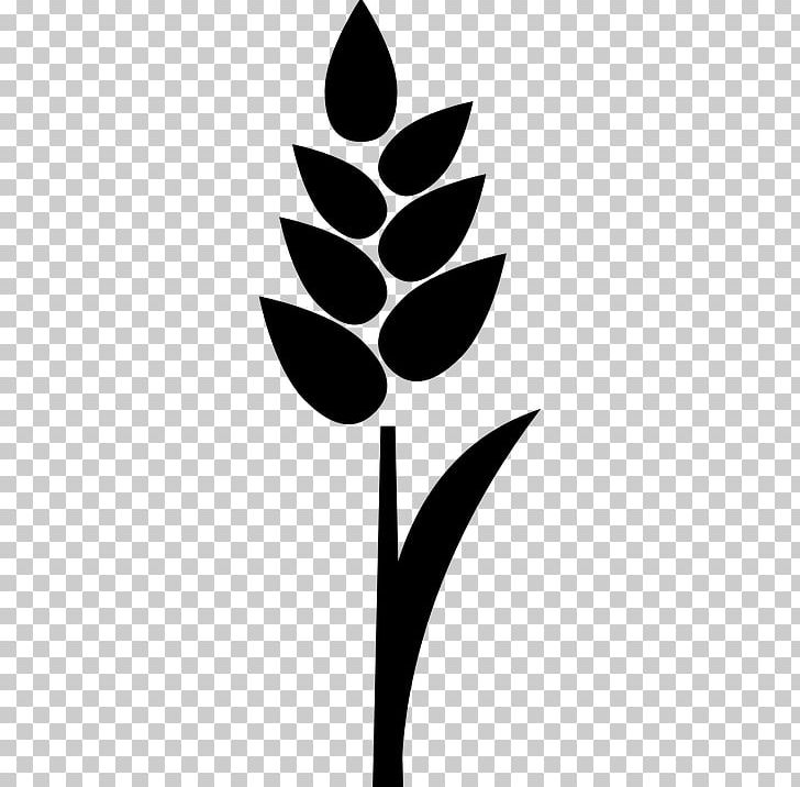 Rice Computer Icons PNG, Clipart, Agriculture, Black And White, Branch, Cereal, Cooked Rice Free PNG Download