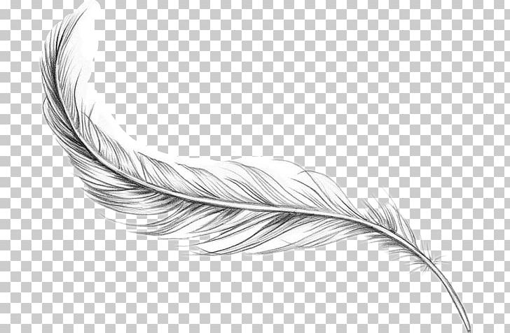 Bird Feather Tattoo Artist Ankle PNG, Clipart, Animals, Ankle, Arm, Beak, Bird Free PNG Download
