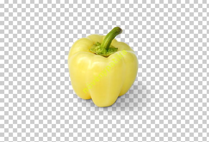 Chili Pepper Yellow Pepper Bell Pepper Peppers Pimiento PNG, Clipart, Bell Pepper, Bell Peppers And Chili Peppers, Capsicum, Chili Pepper, Diet Free PNG Download