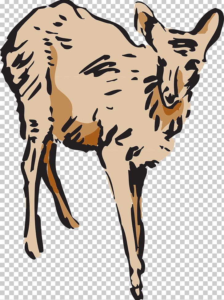 Deer Mammal Elk PNG, Clipart, Animal, Animals, Antler, Brown, Carnivoran Free PNG Download