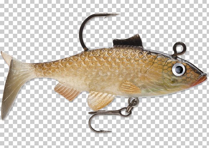 Spoon Lure Fishing Baits & Lures Swimbait Angling Common Roach PNG, Clipart, Angling, Bait, Common Roach, Common Rudd, Computer Mouse Free PNG Download