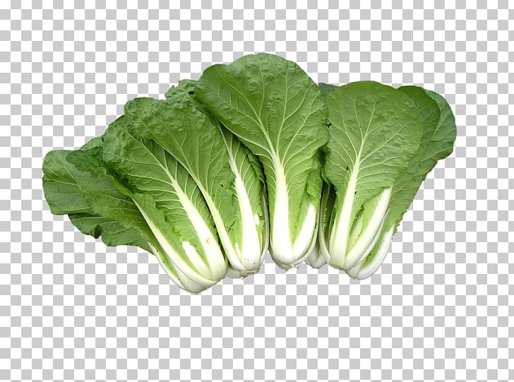 Cabbage Vegetable Fruit PNG, Clipart, Bok Choy, Brassica Oleracea, Cabbage, Chard, Chou Free PNG Download