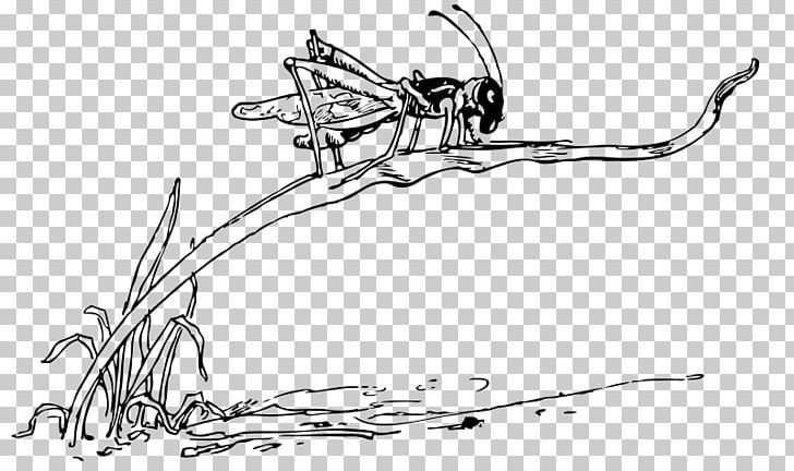 Grasshopper Locust PNG, Clipart, Ant And The Grasshopper, Art, Artwork, Auto Part, Black And White Free PNG Download