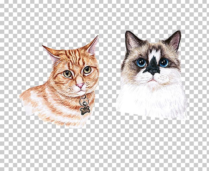 Munchkin Cat Kitten Watercolor Painting PNG, Clipart, Animal, Animals, Asian, Carnivoran, Cat Free PNG Download