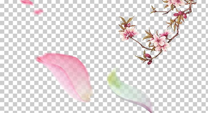 Petal PNG, Clipart, Beauty, Blossom, Blossoms, Cherry Blossom, Cherry Blossoms Free PNG Download