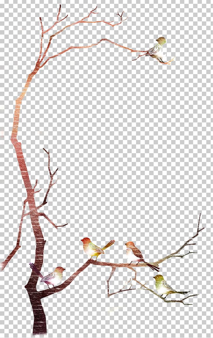 Template PNG, Clipart, Bird, Birds, Branch, Branches, Computer Graphics Free PNG Download
