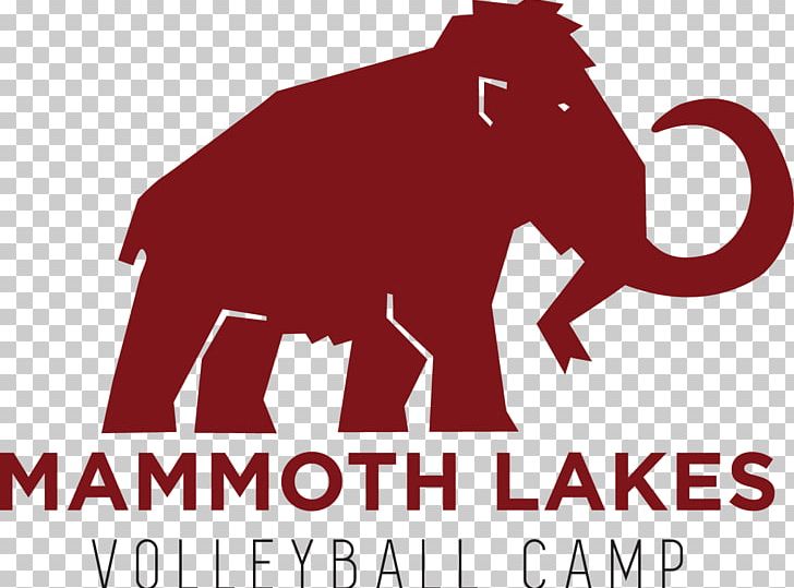 Mammoth Lakes African Elephant Eastern Sierra PNG, Clipart, African Elephant, Area, Brand, Business, Camp Free PNG Download