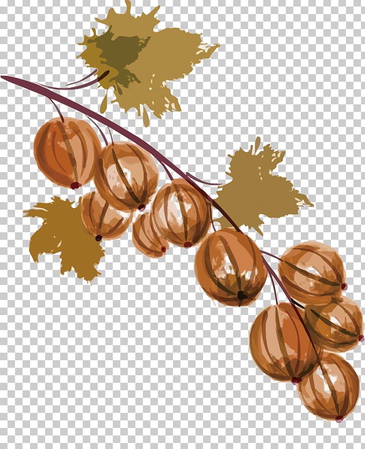 Auglis Watercolor Painting Grape PNG, Clipart, Apple Fruit, Auglis, Autumn, Autumn Leaves, Autumn Tree Free PNG Download